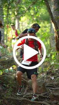 BIB:  <button type="button" onclick="openModal(27641524)" class="btn btn-primary btn-sm float-right" data-toggle="modal" data-target=".modal-high-quality">
                <i class="fa fa-download"></i> Download
                </button>